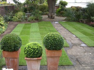 Whether you're based around Cheltenham or Farnham, Top Gardeners can help you make an impact on your garden space.